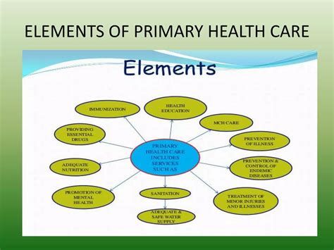 Primary health care slide share | PPTX
