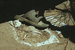 Unrealistic approach killing rural sanitation programme