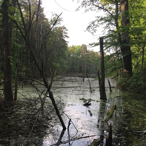 Sewell Tourism (2023): Best of Sewell, NJ - Tripadvisor