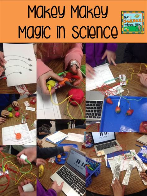 Image result for MaKey MaKey Animal