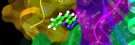 Image result for Bsky Tutorial