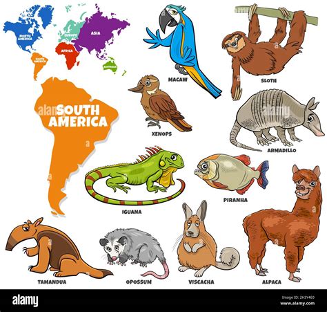 Native South American Animals
