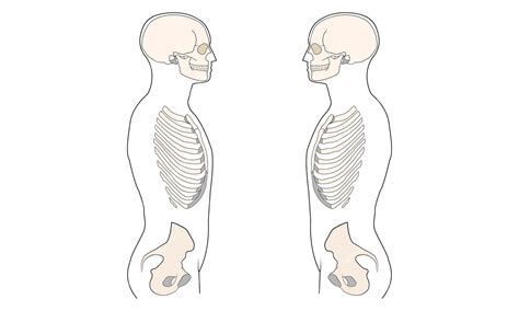 Biology Body Parts 的图像结果