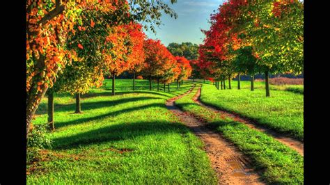 Boats At Phewa Tal Lake in Pokhara Nepal by Jeffry Juel | Buy Posters ...
