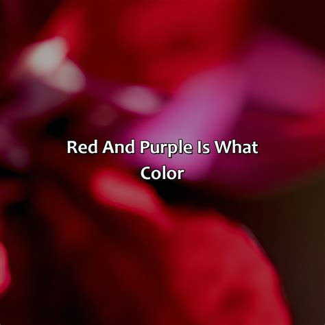 What Color Is February - colorscombo.com