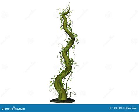 Growing Beanstalk stock illustration. Illustration of green - 14455090