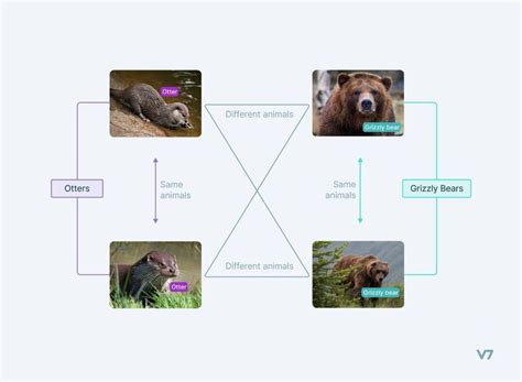 Image result for Pytorch Code Contrastive Learning