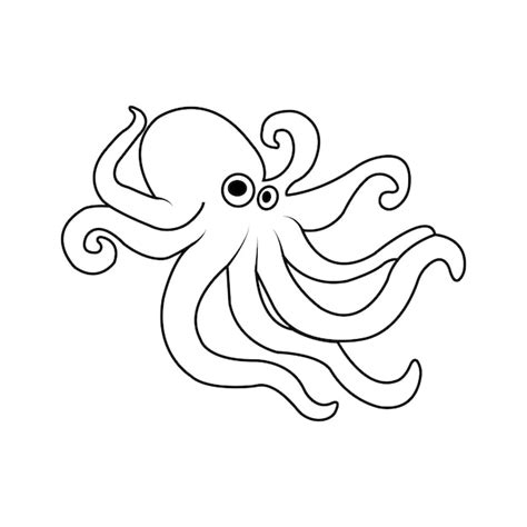 Octopus Software without Box 的图像结果