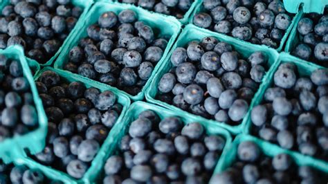 Global blueberry price index: +2% in week 39/2025