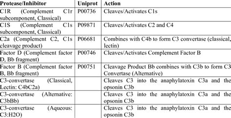 Image result for Complement Fixation Immune System