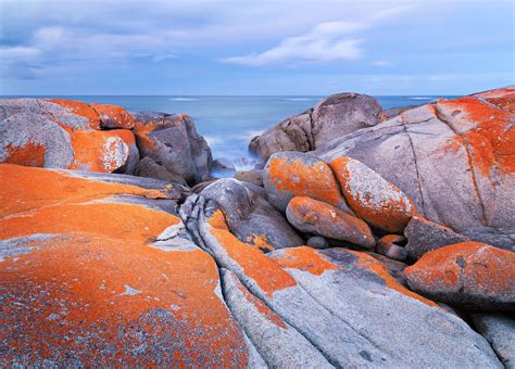 Bay of Fires, Tasmania’s Most Beautiful Beaches - InspirationSeek.com