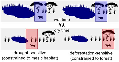 Drought Coincided with, but Does Not Explain, Late Holocene Megafauna ...