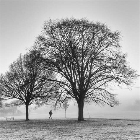 256 X 256 Photos, Download The BEST Free 256 X 256 Stock Photos & HD Images