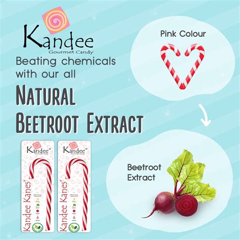Kandee Kane - Classic Strawberry - 5.5" - Set of 12 Candy Canes ...