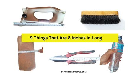 Image result for Longest 12-Inch