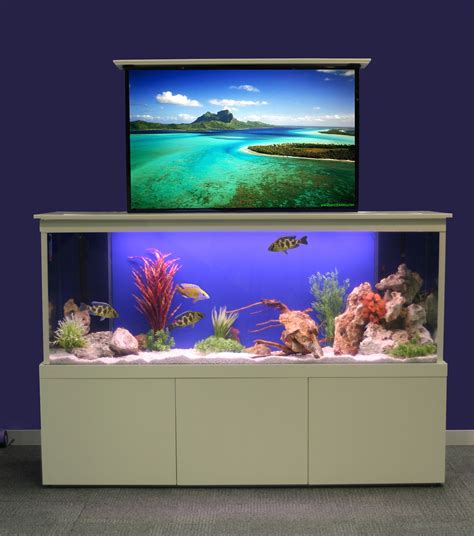 Bildergebnis für tv fish aquarium