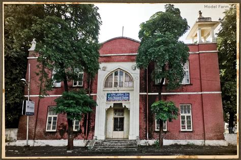 Agriculture In Vadodara