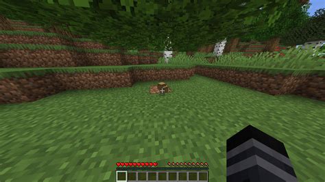 Image result for How to Make Paper MC Java