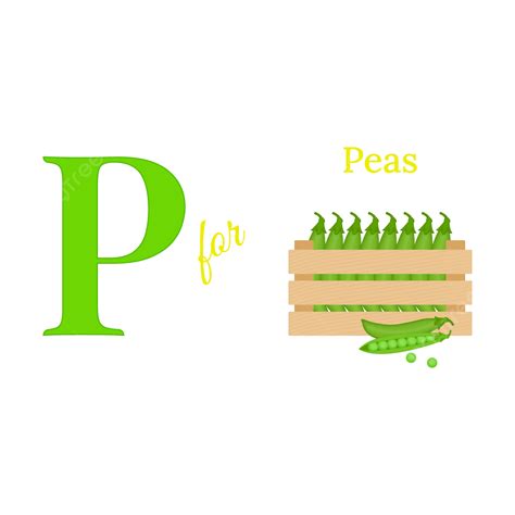 English Alphabet P Is For Peas Vector Illustration, English Alphabet, English Letter P, P For ...