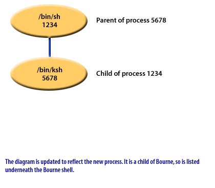 Parent Process vs Child Process 的图像结果