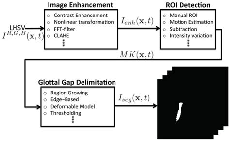 Laryngeal Image Processing of Vocal Folds Motion