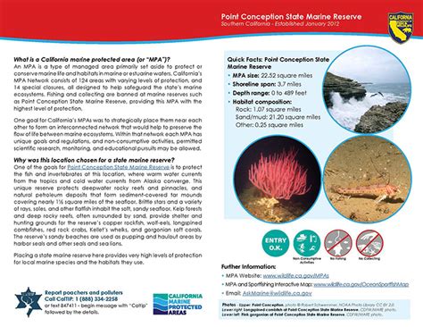 Image result for Point Conception Model