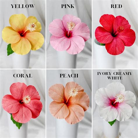 Hibiscus bouquet – Artofit