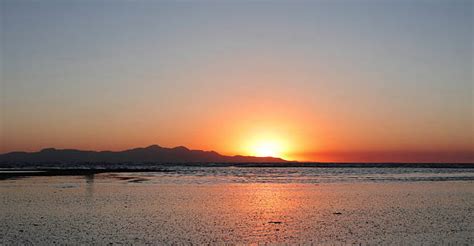 Image result for Example of Research Sample Project