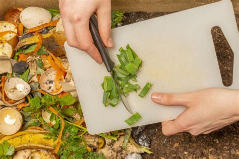 Image result for Biodegradable Waste Composting