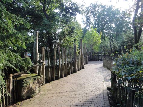 ZooLex Image - Visitor path along the exhibit