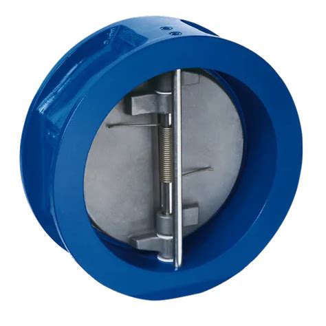 Dual Plate Check Valves - Ci Dual Plate Check Valve Manufacturer from ...