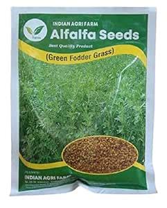 IAgriFarm ® Alfalfa/Lucerne/kuthirai masal seeds Pack of 100 grms ...