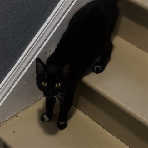 Stream MISERY FT LEAFUH PROD XANDER by Winterfluu | Listen online for ...