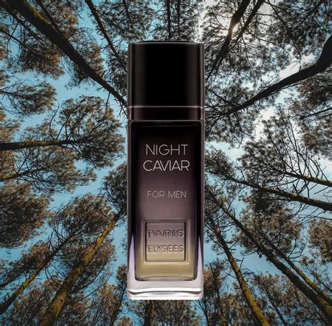 Caviar Night Perfume For Men 100ml – Paris Elysees