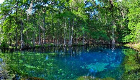 MANATEE SPRINGS STATE PARK - All You Need to Know BEFORE You Go 2026 ...