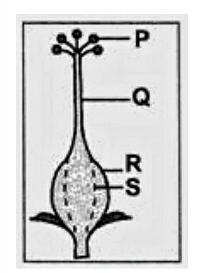 what is the part called - Brainly.in