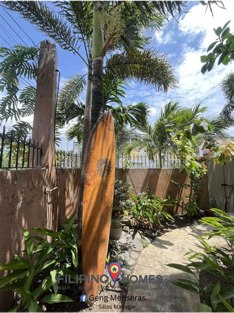 Image result for CWC Pili