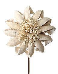 S B Enterprise >> Manufacturer Wholesaler Exporter :: Exotic Handmade ...