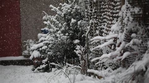 Snow Falling HD 的图像结果