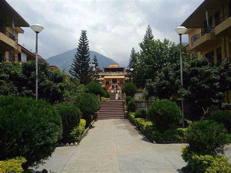 Namgyal Monastery, Dharamsala - Tripadvisor