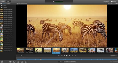 Catalyst Browse Tutorial 的图像结果
