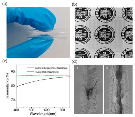 Cost-Effective Fabrication of Transparent Strain Sensors via Micro ...
