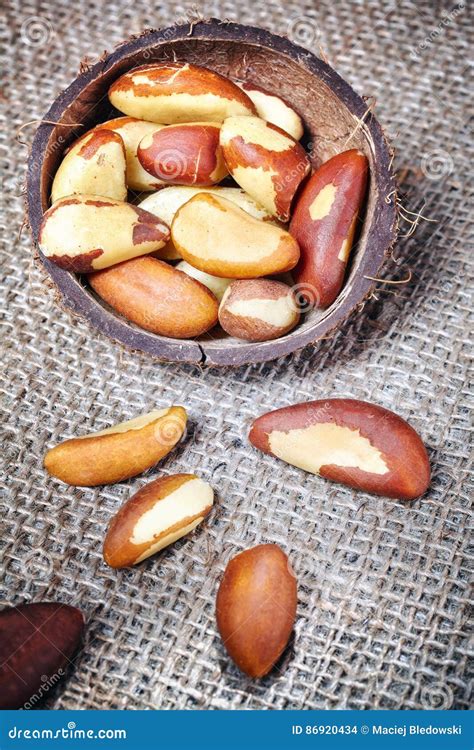 How To Cook Brazil Nuts In Shell at Patrick Guinn blog