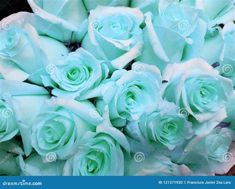 Light Blue Rose Flowers in a Floral Bouquet, Background and Texture ...