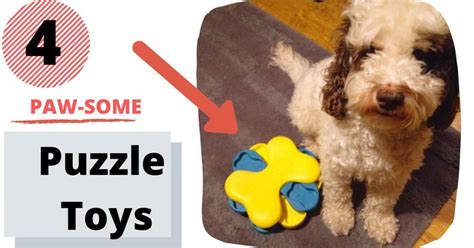 Image result for Cockapoo Dog Barking