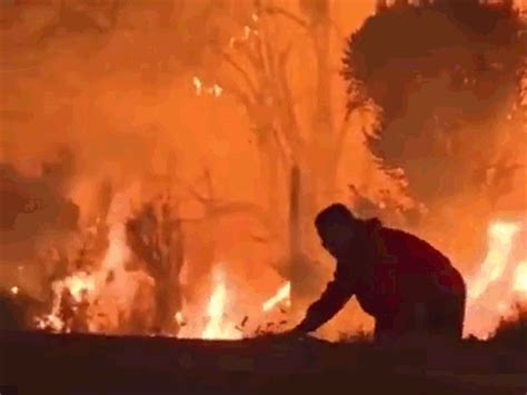 24 people killed in California fires | કેલિફોર્નિયામાં આગમાં 24 લોકોના ...