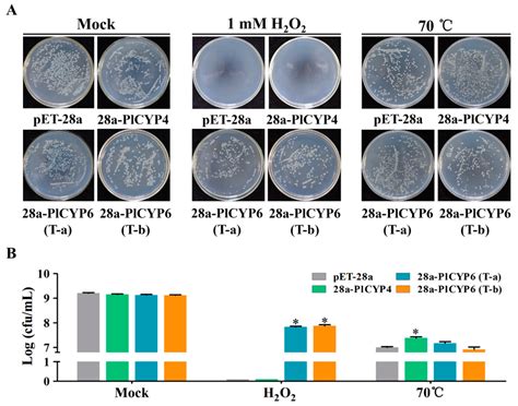 Genome-Wide Identification and Characterization of the Cyclophilin Gene ...