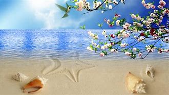 Image result for Good Morning Spring Beach