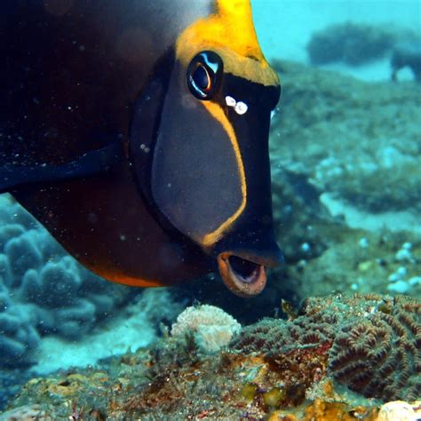 THE BEST Places to Visit in Gillitts (2025) - Must-See Attractions