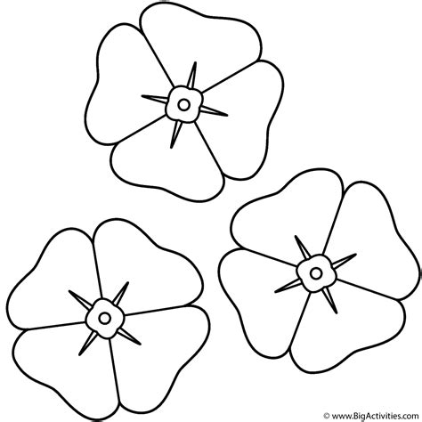 Poppies - Coloring Page (Anzac Day)